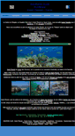 Mobile Screenshot of plongee-saint-florent.com